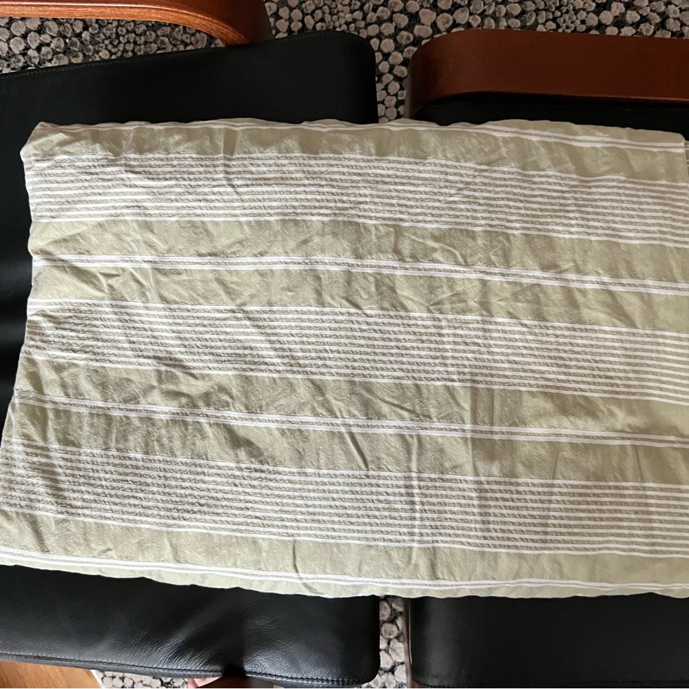 Restoration Hardware Duvet